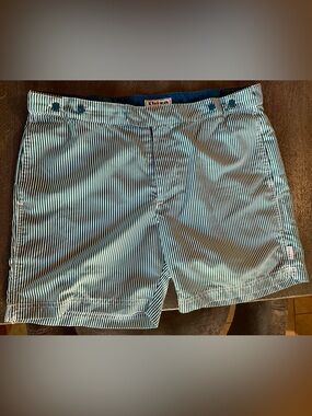 Blue Stripe Men’s Swim Trunks